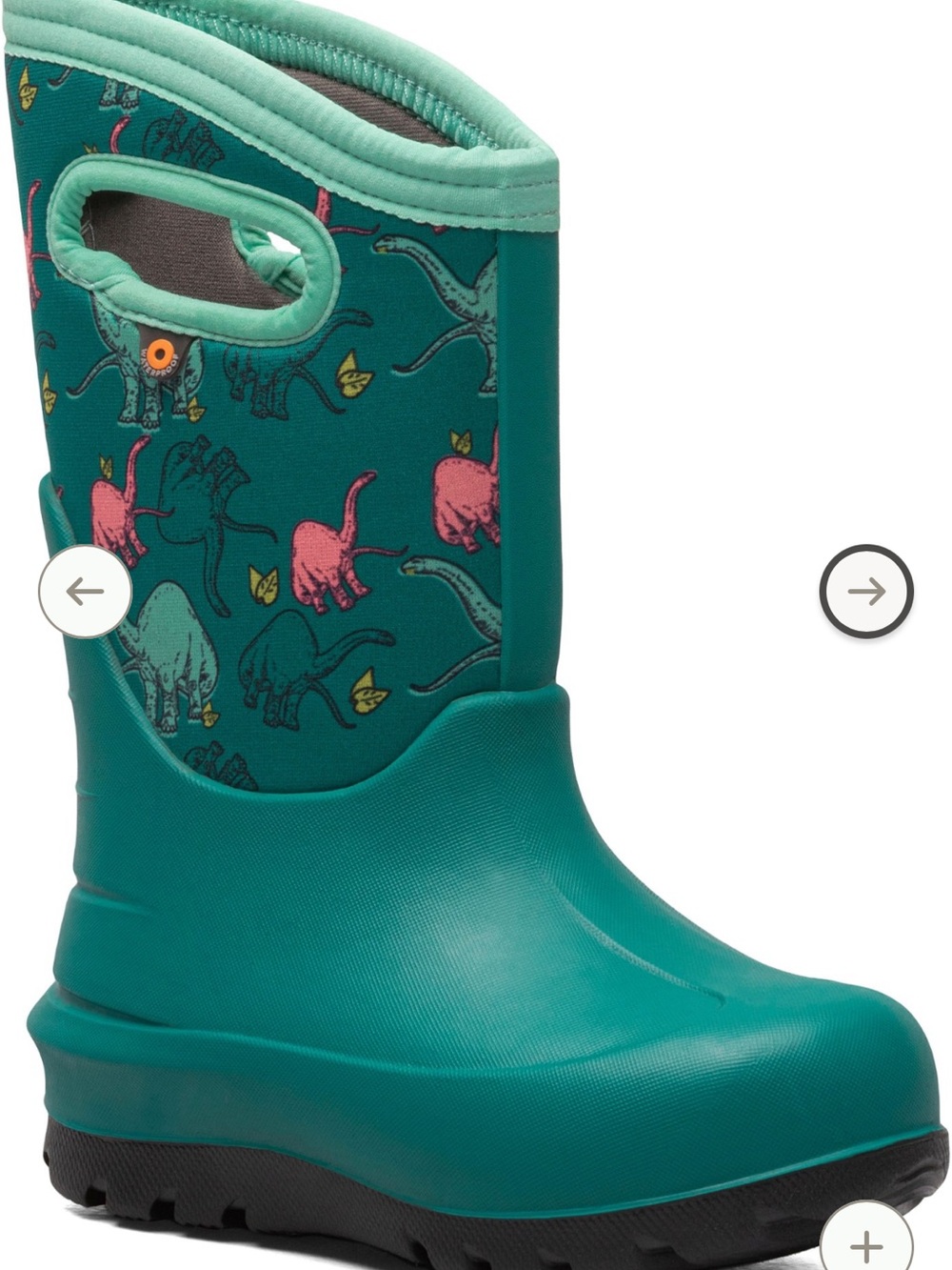 Kids Bogs dino
